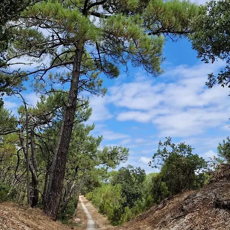 Vibes - 4 à 6 Personnes à 150m De La - 2 Et Mezzanine *