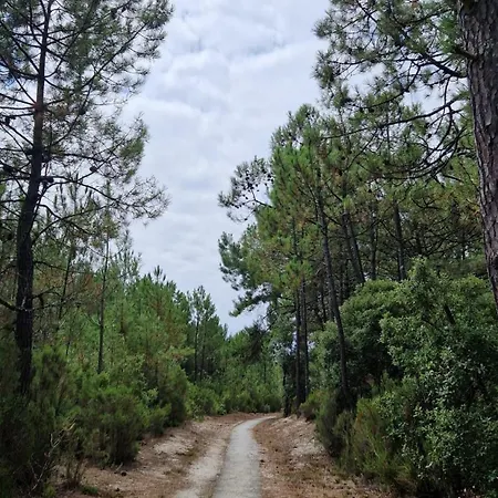 Vibes - 4 à 6 Personnes à 150m De La - 2 Et Mezzanine *